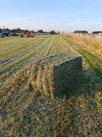 Hooi te koop, Zakelijke goederen, Landbouw | Veevoer, Ophalen