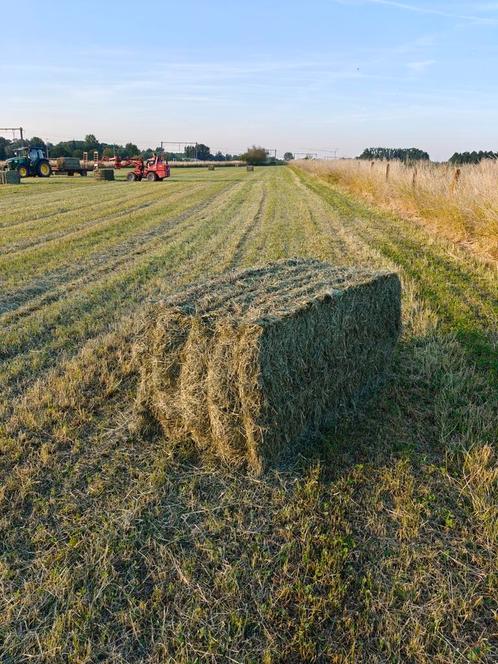 Hooi te koop, Zakelijke goederen, Landbouw | Veevoer, Ophalen