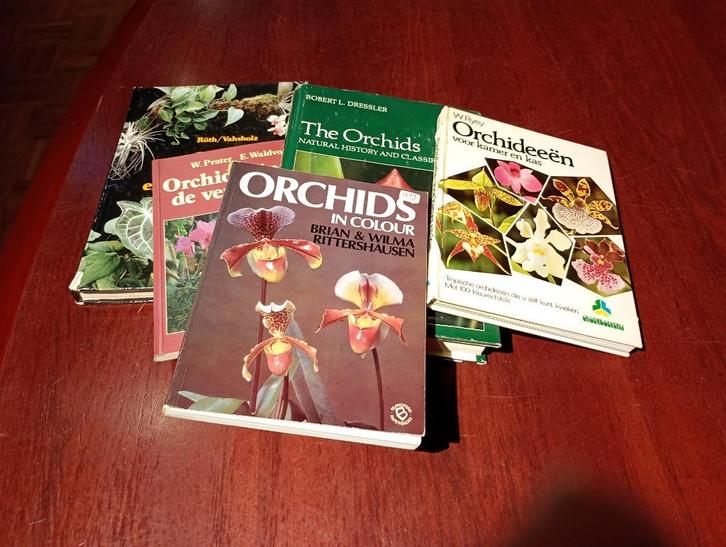 19 boeken over orchideeën in één pakket, Boeken, Wonen en Tuinieren, Zo goed als nieuw, Kamerplanten, Ophalen