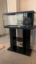 Te koop aquarium met meubel  1 maand oud, Dieren en Toebehoren, Vissen | Aquaria en Toebehoren, Ophalen