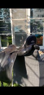 Dressuur zadel bates 2019, Dieren en Toebehoren, Paarden en Pony's | Zadels, Ophalen, Zo goed als nieuw, Dressuur