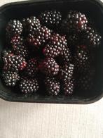 Braambessen, Divers, Produits alimentaires, Enlèvement