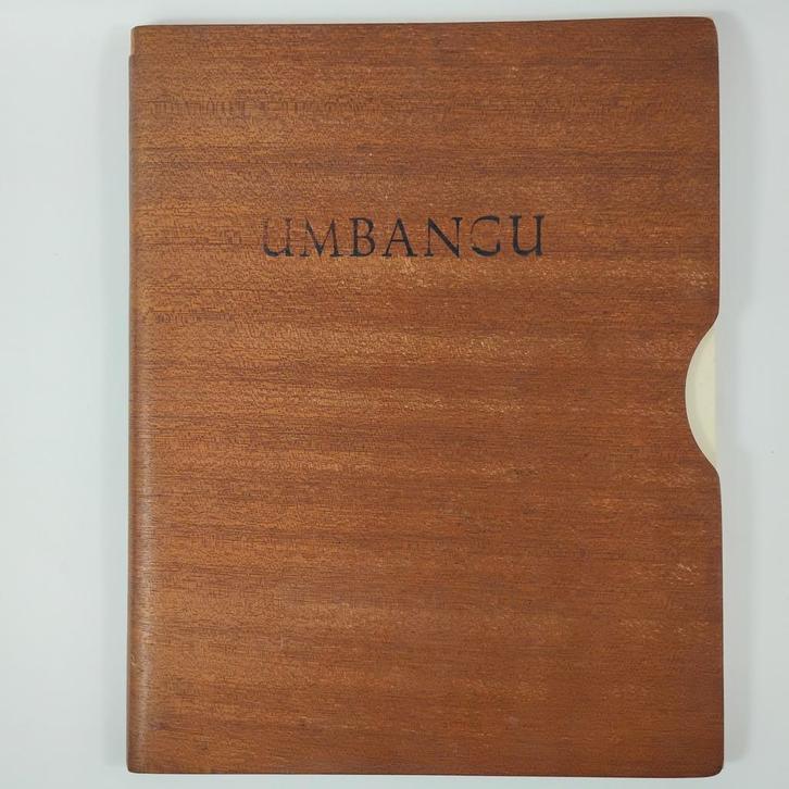 Portfolio Umbangu, kunst uit Congo 1950-1960, Antiek en Kunst, Kunst | Niet-Westerse kunst, Ophalen of Verzenden