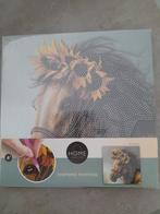Home Creation Diamond Panting set (Paard), Ophalen of Verzenden, Nieuw, Overige typen