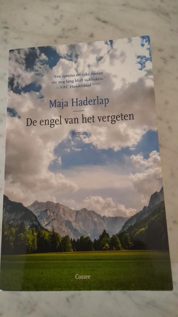 Maja Haderlap - De engel van het vergeten, Boeken, Literatuur, Zo goed als nieuw, Ophalen of Verzenden