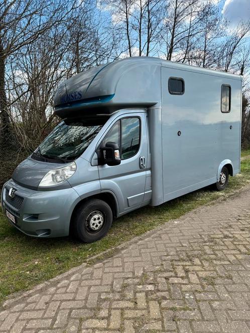 Paardencamionette Rijbewijs B met hengstenschot te huur, Dieren en Toebehoren, Paarden, B