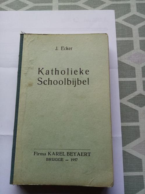 KATHOLIEKE SCHOOLBIJBEL, Boeken, Overige Boeken, Ophalen of Verzenden