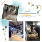 Paardenstallen te huur, Dieren en Toebehoren, Weidegang