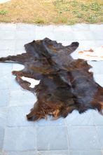 kleine koevellen kalfsvel, Ophalen