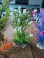 Aquarium planten, Ophalen of Verzenden, Nieuw, Plant(en), Steen of Hout