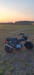 Skyteam dax 72cc (moet snel weg), Fietsen en Brommers, Brommers | Overige merken, Ophalen, Zo goed als nieuw