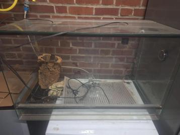 Terrarium, Enlèvement