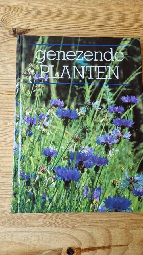 Genezende planten, Boeken, Wonen en Tuinieren, Gelezen, Tuinieren en Tuinplanten, Ophalen of Verzenden