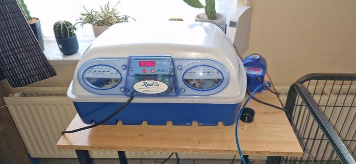 Borotto broedmachine Real 24 Expert, Dieren en Toebehoren, Pluimvee | Toebehoren, Zo goed als nieuw, Broedmachine, Ophalen