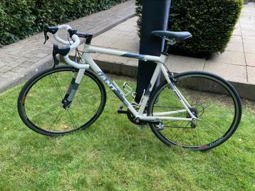 Racefiets GIANT OCR Campagnolo Maat 53 M beschikbaar voor biedingen