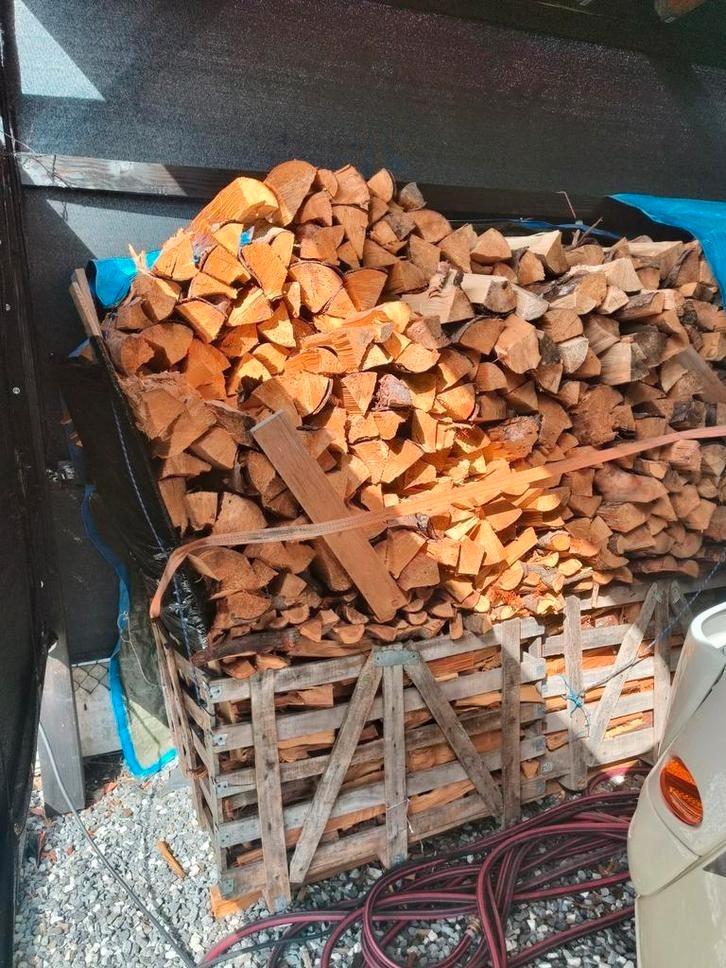 Brandhout droog stookklaar!, Tuin en Terras, Brandhout, Blokken, Ophalen