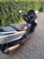 yp400a, 1 cylindre, Scooter, Particulier, Plus de 35 kW