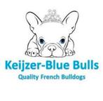 Zeer mooie franse bulldog pups uit geteste ouders met stamb, Plusieurs, Belgique, 8 à 15 semaines, Bouledogue