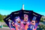 4 tickets pour Disneyland Paris  (val. 17/06/24), Ticket ou Carte d'accès, Trois personnes ou plus