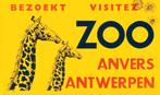 Originele affiche Zoo Antwerpen, Antiek en Kunst, Ophalen
