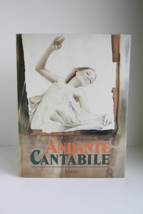 Andante Cantabile, Boeken, Muziek, Zo goed als nieuw, Algemeen, Ophalen of Verzenden
