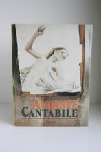 Andante Cantabile, Livres, Musique, Comme neuf, Général, Enlèvement ou Envoi, Lannoo