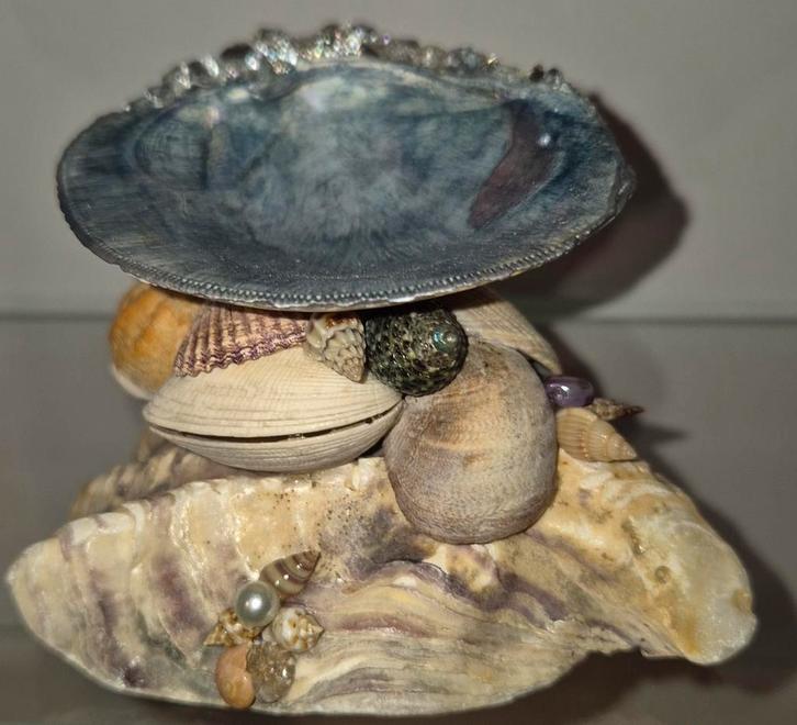 Unieke schelpen, Huis en Inrichting, Woonaccessoires | Schalen en Manden, Zo goed als nieuw, Ophalen