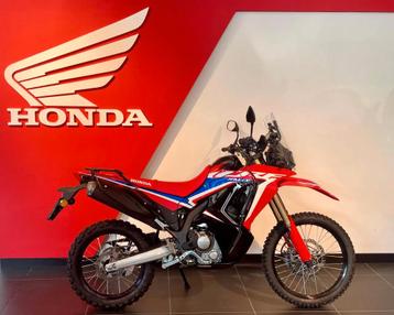 Honda CRF300 Rally (bj 2024) beschikbaar voor biedingen