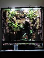 Tropisch terrarium, Dieren en Toebehoren, Ophalen of Verzenden, Gebruikt, Verlichting