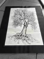 Steinbach ets boom, Antiek en Kunst, Kunst | Etsen en Gravures, Ophalen