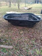 Vijver, Dieren en Toebehoren, Vissen | Vijvervissen