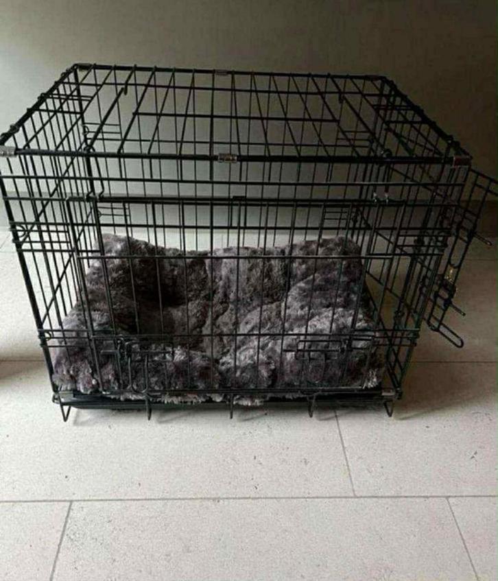 Cage pour chien - couverture non incluse, Animaux & Accessoires, Maisons pour chiens, Comme neuf, Enlèvement