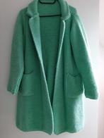 Cardigan, Kleding | Dames, Overige Dameskleding, Ophalen of Verzenden, Zo goed als nieuw