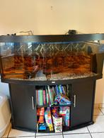 Aquarium, Animaux & Accessoires, Poissons | Aquariums & Accessoires, Enlèvement, Utilisé, Aquarium vide