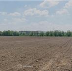 Landbouwgrond