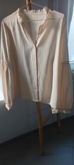 Bloezen .nooit gedragen.maten 44 a 46., Vêtements | Femmes, Vêtements Femmes Autre, Enlèvement, Neuf