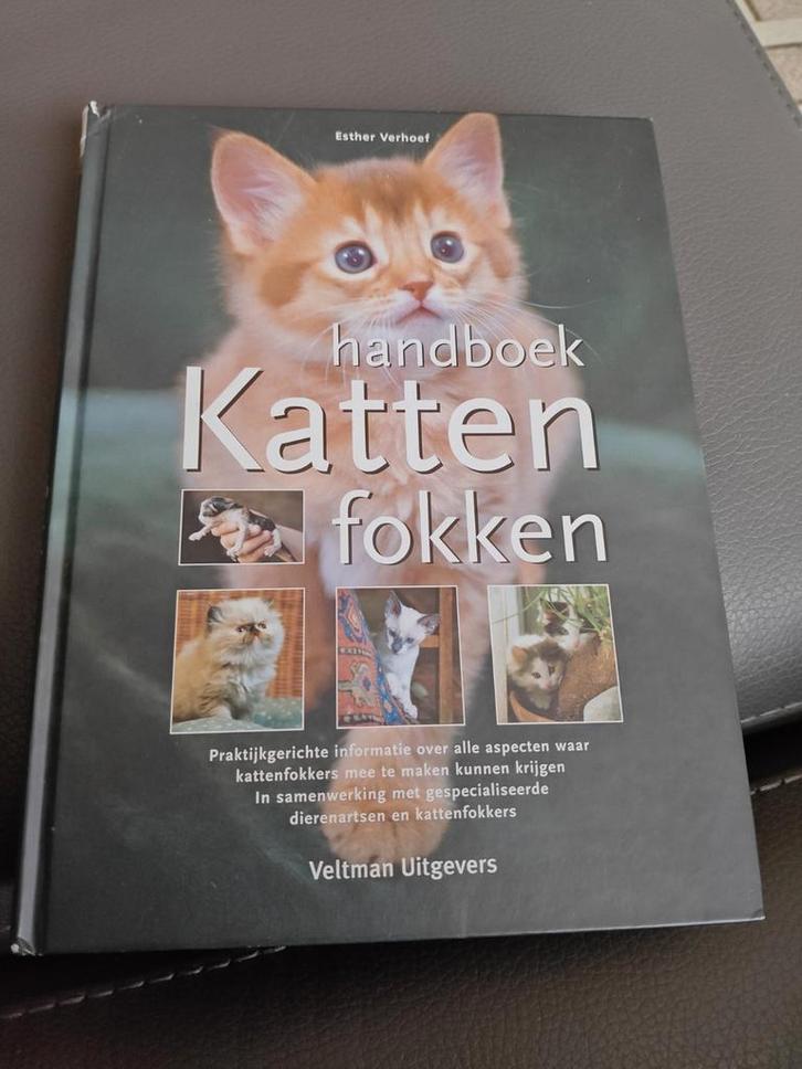 Esther Verhoef - Handboek katten fokken, Boeken, Dieren en Huisdieren, Zo goed als nieuw, Katten, Ophalen of Verzenden