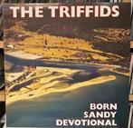 TRIFFIDS - BORN SANDY DEVOTIONAL, Enlèvement ou Envoi, Comme neuf, 12 pouces, Alternatif