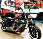 Harley Davidson 48, Particulier, Chopper