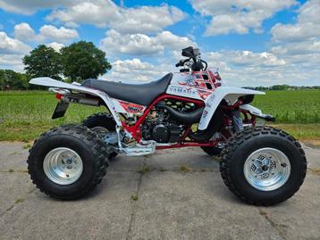2006 Yamaha Banshee YFZ 350 met kenteken beschikbaar voor biedingen