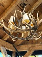Luster hertengeweien, Antiek en Kunst, Ophalen of Verzenden