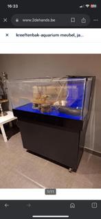 aquarium / homarium, Dieren en Toebehoren, Ophalen, Gebruikt, Leeg aquarium