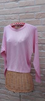 Trui 54cm van oksel tot oksel te zenis l/xl, Kleding | Dames, Truien en Vesten, Maat 46/48 (XL) of groter, Ophalen of Verzenden