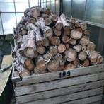 Droog brandhout van dennenbomen, Jardin & Terrasse, Bois de chauffage, 6 m³ ou plus, Troncs d'arbres, Autres essences de bois