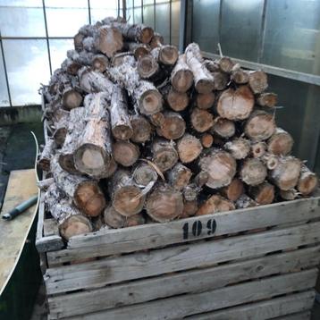 Droog brandhout van dennenbomen