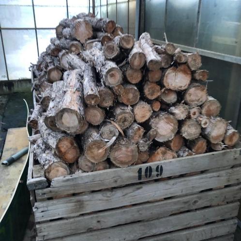 Droog brandhout van dennenbomen, Jardin & Terrasse, Bois de chauffage, Troncs d'arbres, Autres essences de bois, 6 m³ ou plus