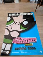 Power puff girl poster van vinyl groot formaat., Verzamelen, Posters, Ophalen, Zo goed als nieuw