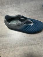 Blauwe voetbalschoenen met tatsen, Ophalen