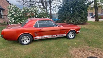 Ford Mustang  6cyl.   1966, Achat, 3300 cm³, Automatique, Particulier