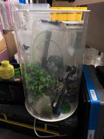 Aquarium biOrb, Dieren en Toebehoren, Ophalen, Gebruikt